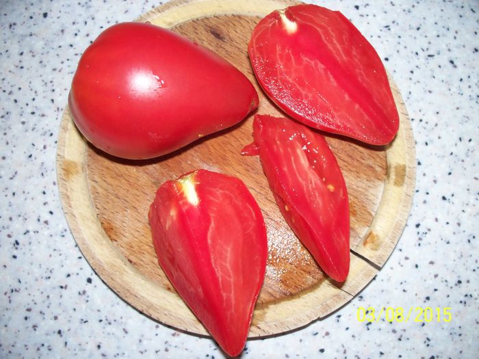 INIMA BOU SERBIA (17)