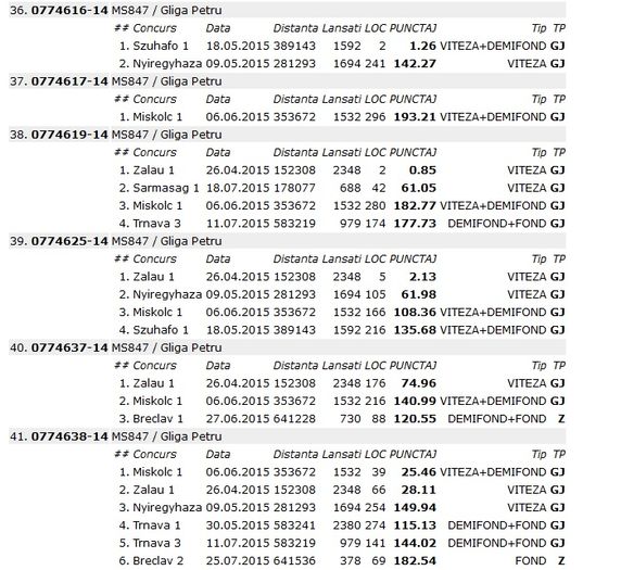centralizari-porumbei10