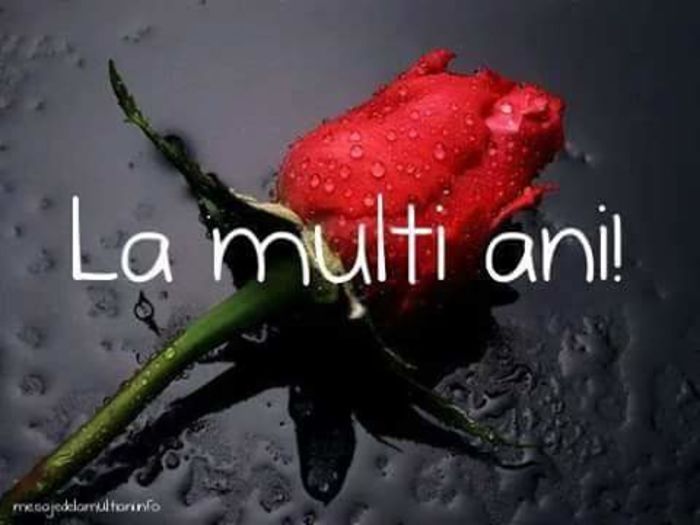 12249953_419605968236355_4291540144254389082_n