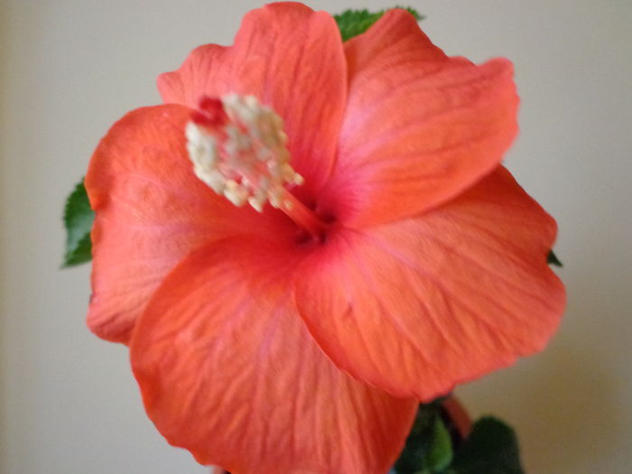 DSC01450