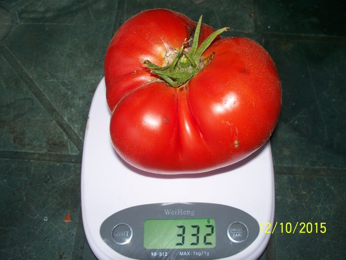 BEEFMASTER 332 gr (3)