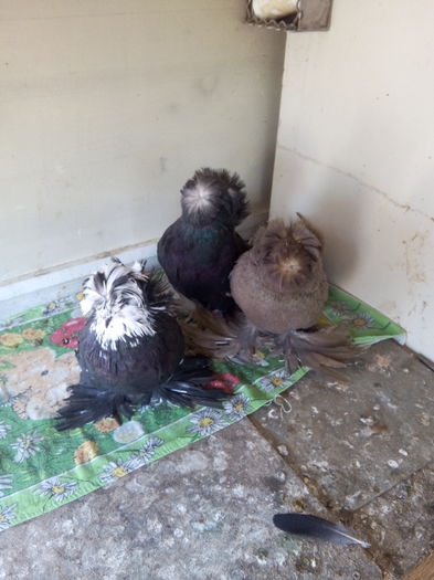 IMG_20151029_104231; Grup
