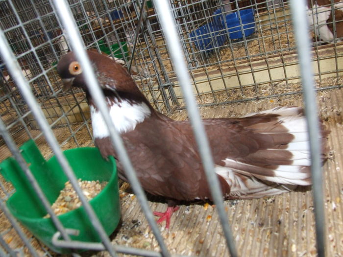 DSCF1736
