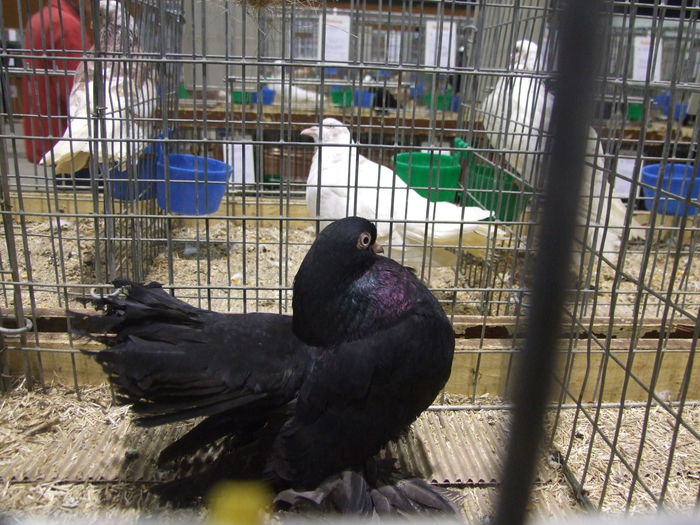 DSCF1763