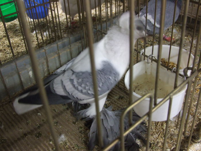DSCF1776