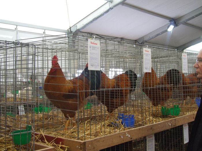 DSCF1857 - Expozitia Europeana Metz 2015
