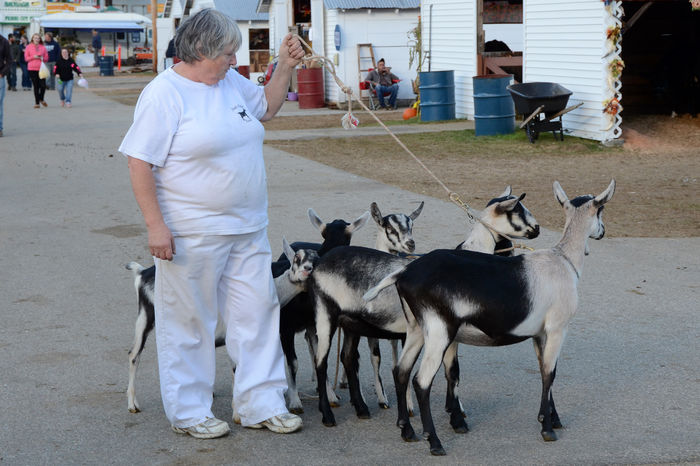 Capritele Paun deosebite