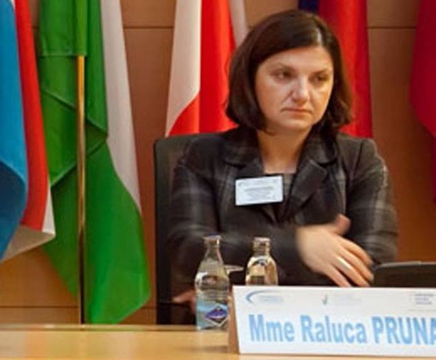 Raluca Pruna - min.justitiei - Diaspora RO-vot 2014 _ stiri diverse