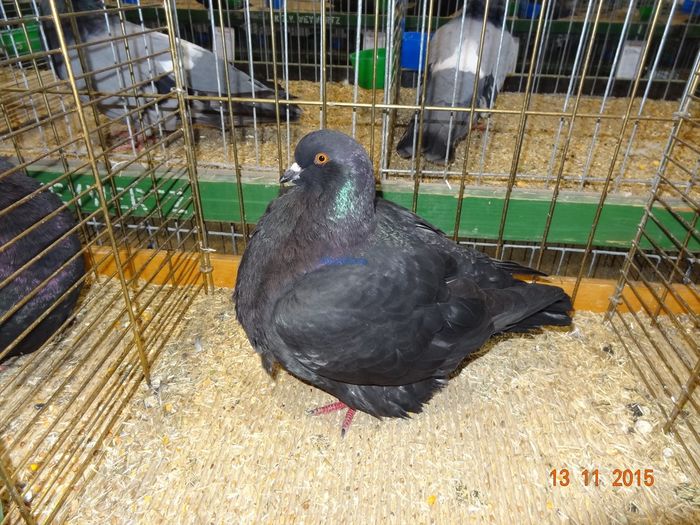 DSC05967