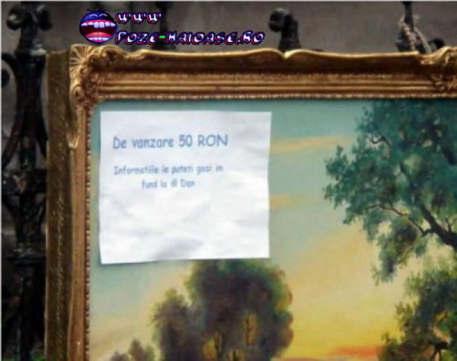 www_poze-haioase_ro__1198406512_199902