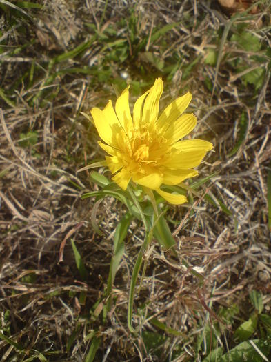 DSC01309