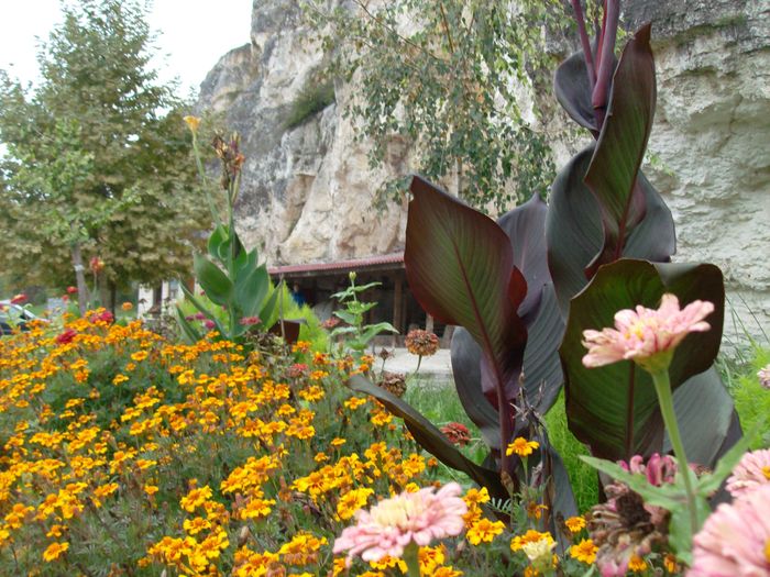 MANASTIREA BASARABOV (50)