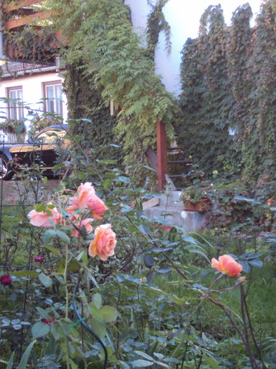 DSC08285