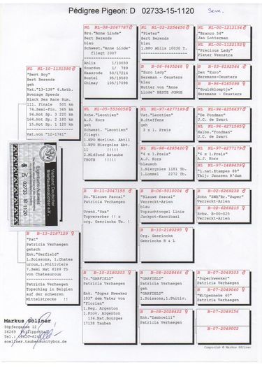 familie-sollner-dv-02733-15-1120-semifinala-familie-sollner-dv-02733-15-1120-semifinala-1 - DV 02733 15 1120