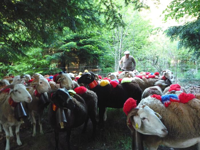 Gata de plecare - 7gh