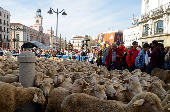 Oile astea-s chiar printr-un oras mare