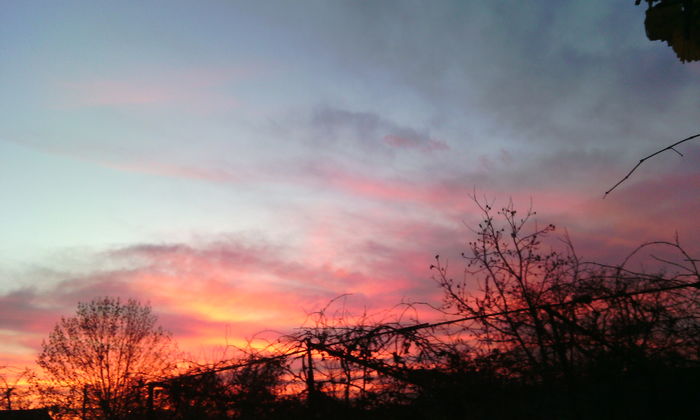 IMG_20151119_165425[1]