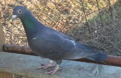 2014-12-12 15.15.26-1