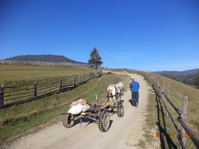 Cu Petrea dupa lemne-2