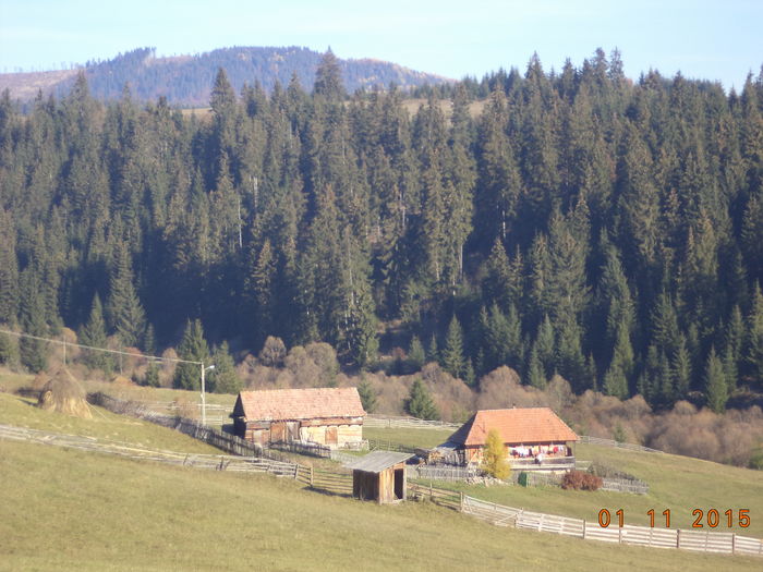 Locuri si paduri de molid frumoase