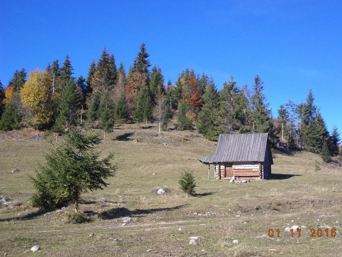 O coliba in varful dealului