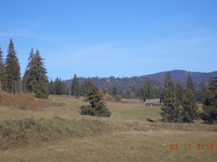 Stani si colibe peste tot