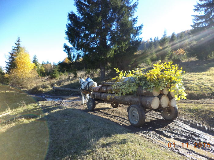 Venim la vale linistit