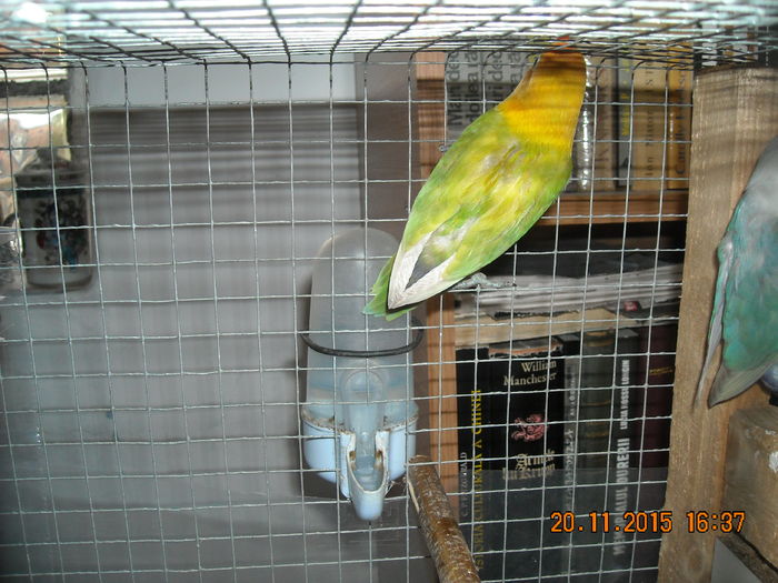 DSCN0007