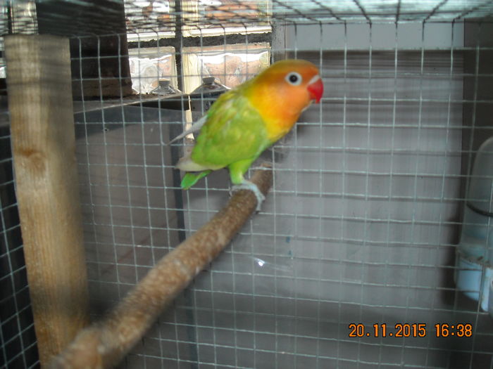 DSCN0012