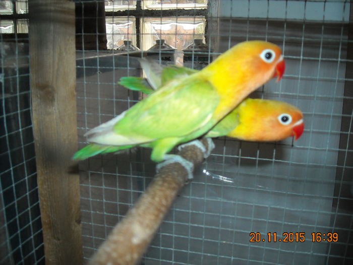 DSCN0015