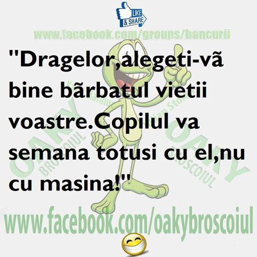 10991044_1606039696295154_8954356738751962297_n - Diverse