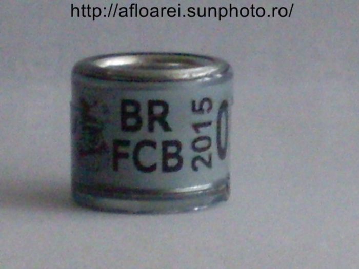 br fcb 2015 - BRAZILIA- BR