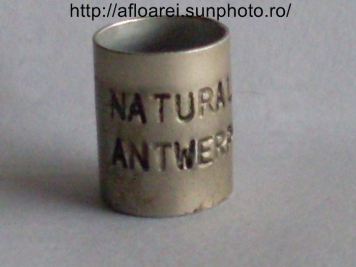 natural antwerp - inele colectie-Pigeon Rings Collection