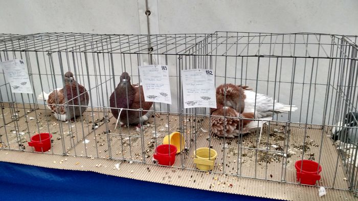 IMG_20151121_131101948_HDR