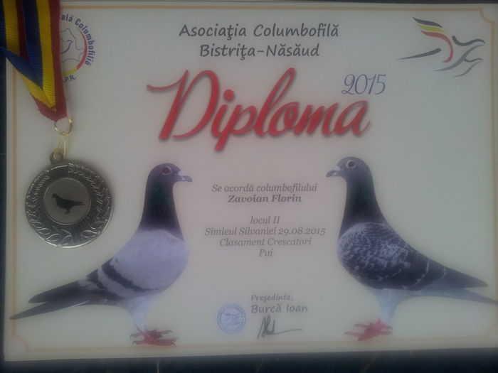2015 - Diplome