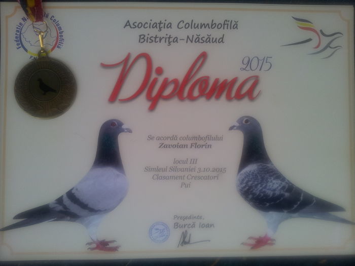 2015 - Diplome