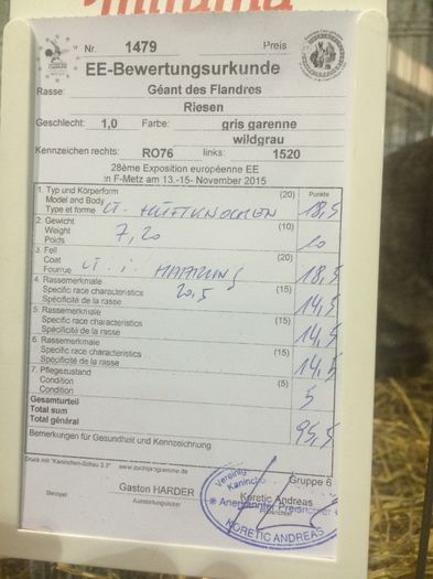 Ro 76 1520; 95,5pct Europene METZ!!
