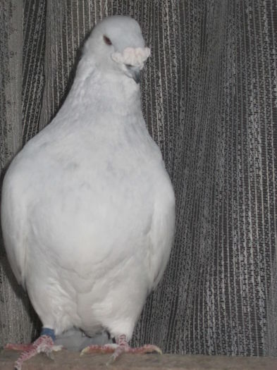 IMG_8552 - SELECT CLUB