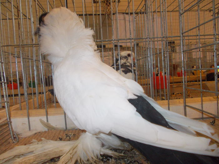 DSCN0064