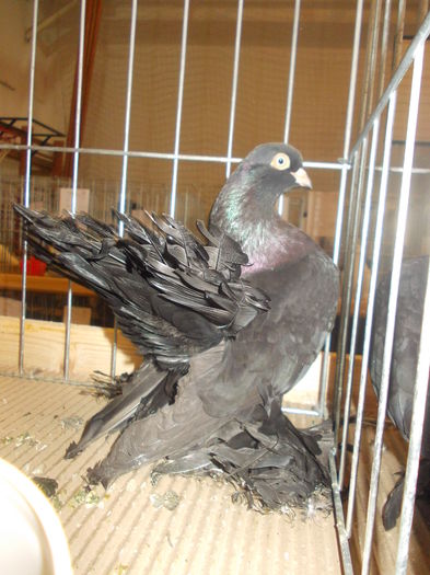 DSCN0086