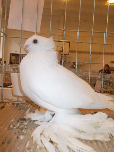 DSCN0105