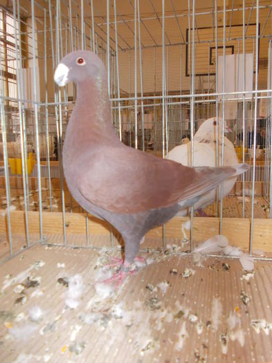 DSCN0126
