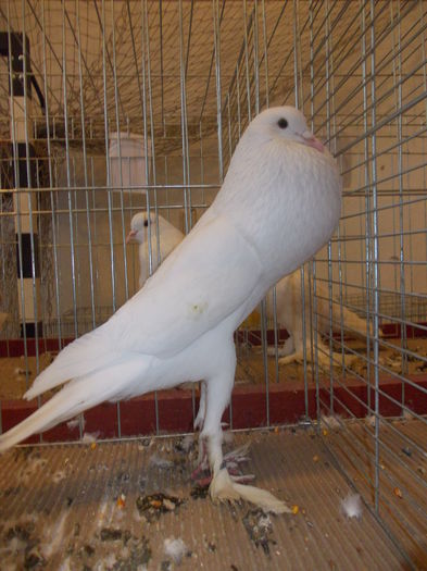 DSCN0149