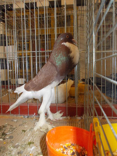 DSCN0170