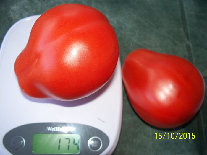 ALBENGA-PEARSON (5) - ALBENGA PEARSON 1