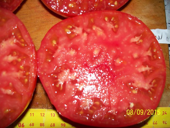 BRANDYWINE RED PARK SEEDS (15) - BRANDYWINE RED 2015