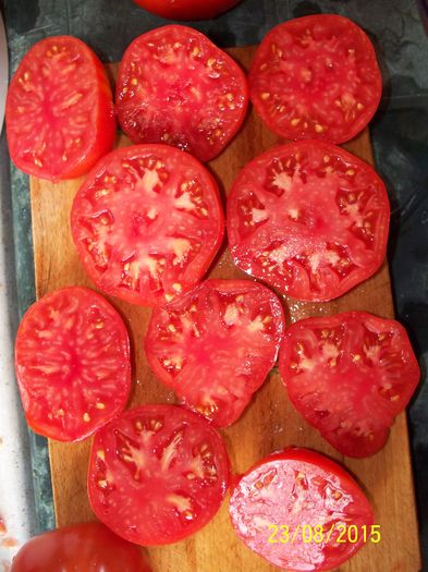 BRANDYWINE RED VS (5)