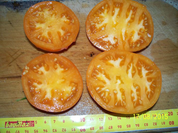 ORANGE -MANDARIN (6)