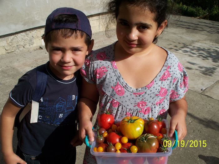 CEVA ROȘII 2015 (3)