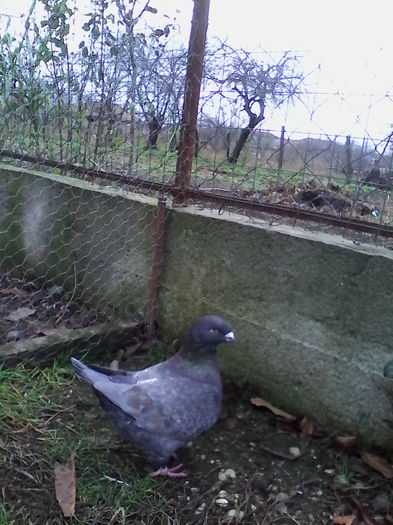 IMG_20151123_103322 - Copy